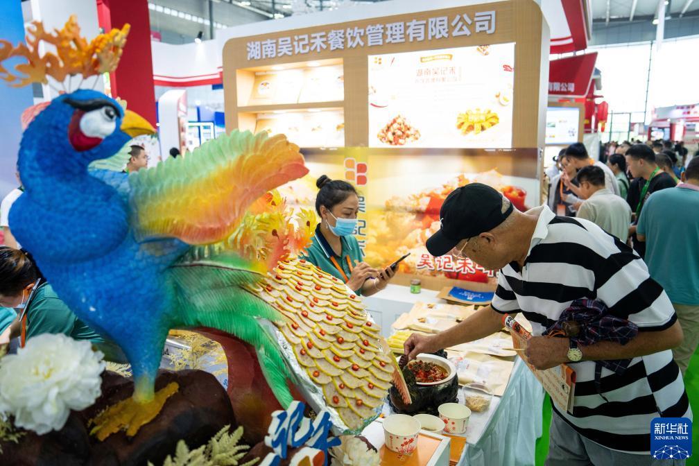 十博备用网址